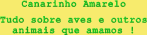 My Little Canary - Tudo sobre aves e animais de estimao
