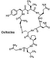 Estrutura da Oxitocina - Fonte: Nature