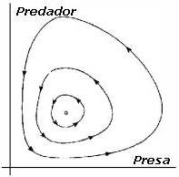 Ciclo Predador-Presa