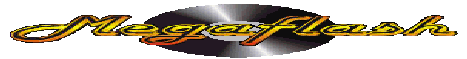 Clique aqui, para visitar o Site da Banda Megaflash