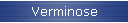 Verminose
