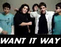 I WANT IT THAT WAY