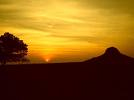Pampas