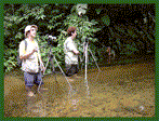 Passeio fotografico trilha d'agua - Bertioga-SP