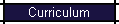 Curriculum