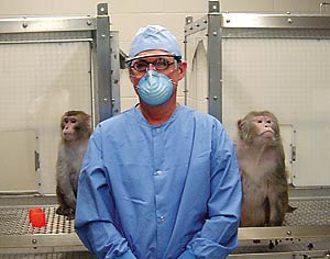 macacos