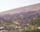 PIC00060