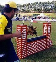 agility