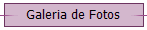 Galeria de Fotos