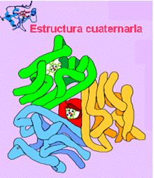 Estrutura quatern&aacute;ria