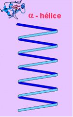 Estrutura secund&aacute;ria