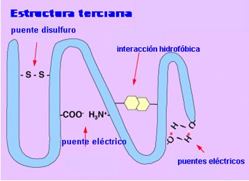Estrutura terci&aacute;ria