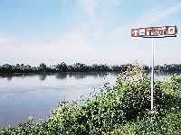 Rio Pó - Francolino