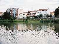 Ferrara
