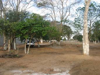 image102