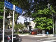 ver foto d