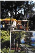 ver foto