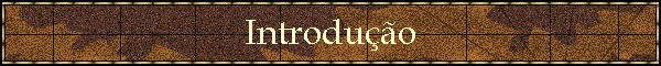 Introduo
