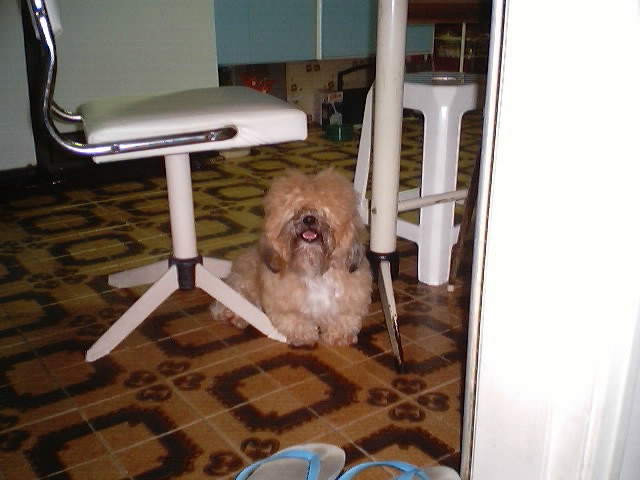 Hanna