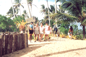 Ilha Paraso