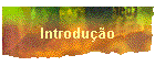 Introduo