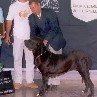 Melhor da Exposio75