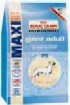 Maxi Giant Adult