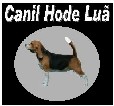 Patrocinador Oficial do Evento