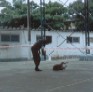 Rolando