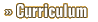 Curriculum