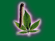 Legalize j!