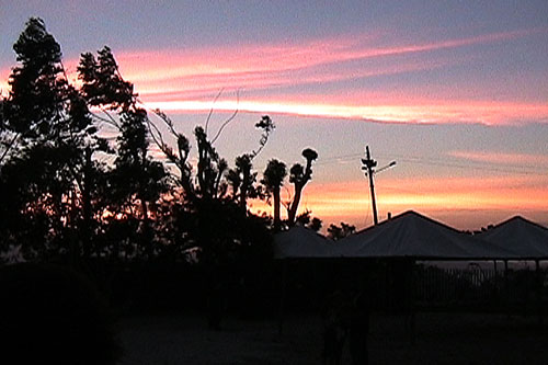 festa-dia-37