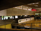 fau usp