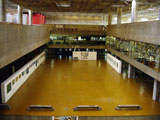 fau usp