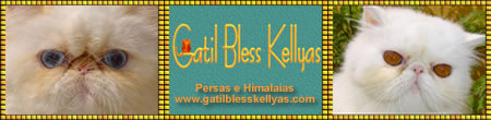 GATIL BLESS KELLYAS