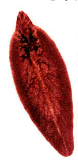 image002.jpg