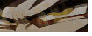 Coloque nosso button no seu site