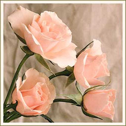 bouquet_de_rosas21.jpg (24500 bytes)