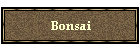 Bonsai
