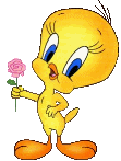 titi-11.gif (11724 bytes)