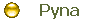 Pyna