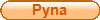 Pyna