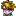 Matt