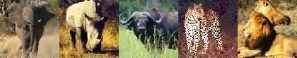 Os 5 Grandes - The big five
