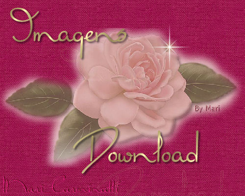 Escolha a sua rosa e clique  para iniciar o download!!!