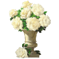 Receba esse belo vaso de rosas brancas!!