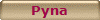 Pyna