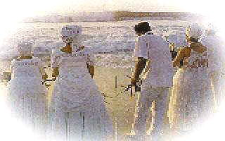 Volta Para "Linhas de Trabalho"