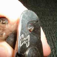Picture of while clipping nail