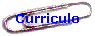 Curriculo
